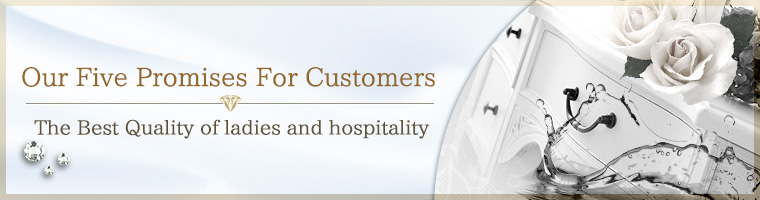 Our 5 Promises For Customers